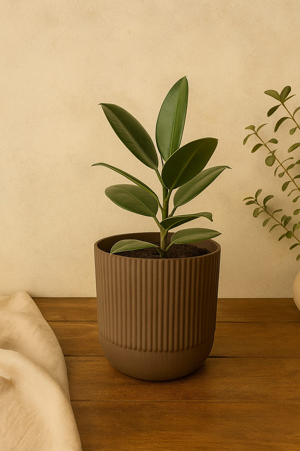 Classic Planter