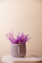 Naksh Planter