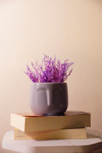 Naksh Planter